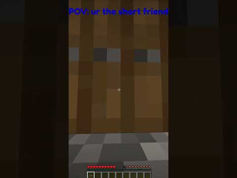 pov ur the short friend #minecraftmeme  #funny #meme #funny #trend #gaming #shorts #shortperson