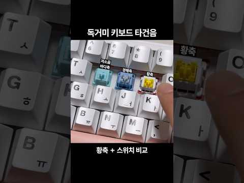 독거미 키보드 황축과 스위치별 타건음
