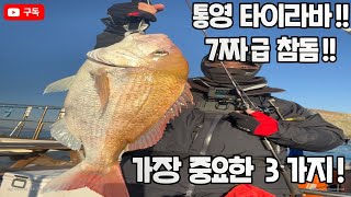 [마린95] 타이라바, 이 3가지만 알면 누구나 잡을수있습니다. 가장 중요한 기본 3가지!! 7짜급 참돔 등장(통영 삼덕항 유담호)