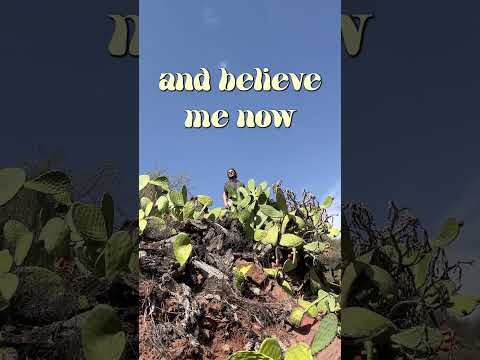 What is he doing in a field of cactus???  #music #indiediscovery #newmusicdiscovery #hiddengems