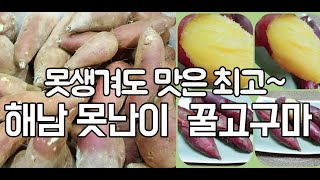 못생겨도 맛은최고~ 가격착한 해남 못난이 꿀고구마