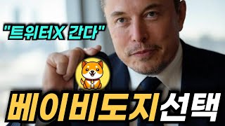 베이비도지코인 역대급 발표 업비트, 코인베이스 줄상장 예정 머스크 효과로 날개를 달다