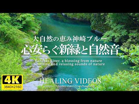 [Healing] Soothing fresh greenery and natural sounds (stream babbling and bird calls)