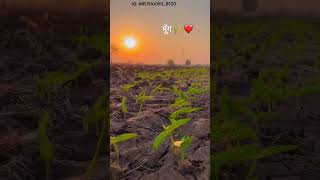 Kisan putr 💯👳🌾 #videoviralシ #trwndingreels #fecebookreelsviral #trrndingreels #viralvideo #lodhi