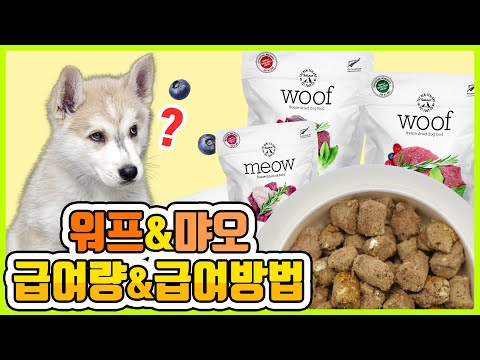 뉴질랜드 동결건조 펫푸드 워프 & 먀오 급여량과 급여방법에 대해서 알려줄게요! #공식수입사가알려주는 #워프먀오 #급여방법 #일일급여량 #워프 #먀오 #동결건조 #동결건조사료