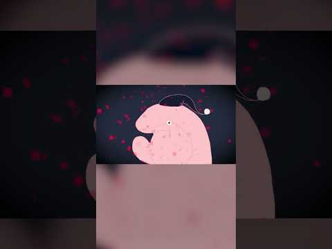 煮ル果実「アメリ」with Flower
