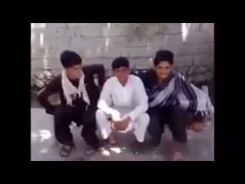 Bangladesh Pakistan and india Most Funny Animals Video Clips 2018 funny video