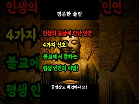 인생의 봄날에 만난 인연 4가지 신호! 불교에서 말하는 평생 인연의 비밀! #평생인연 #불교지혜 #인연의비밀 #소중한인연 #인생의동반자 #영혼의동반자 #인연찾기 #불교명상 #마음