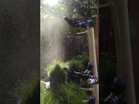 tes.... misting kabut