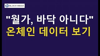"월가, 바닥 아니다" 온체인 데이터 보기