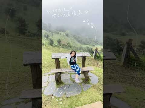 清莱的Akha绵羊牧场#泰国 #清迈 #清迈生活 #清莱 #牧场
