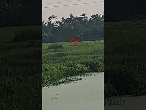 Sony camera Zoom test 🤯525MM #telephoto #photography #s25ultra #sony #camera #mirrorless #dslr #zoom