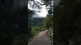 #naturelover #love #music #synthwavejourney