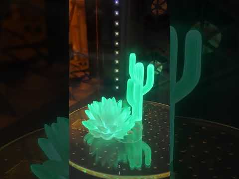 🌵 Nature’s Crystals, Frozen in Time