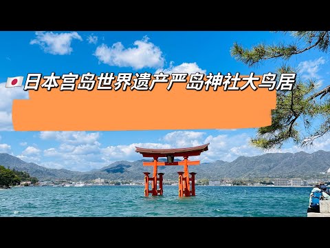 🇯🇵2023日本宫岛严岛神社大鸟居还有温柔小鹿