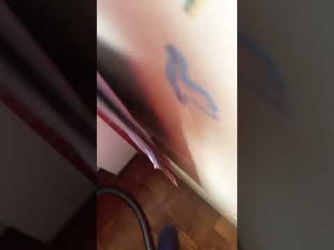 gioele pt 5