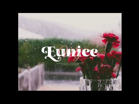 30 mins relaxing lofi music with gentle rain and wind 🍃 relax/study/sleep ~ for insomnia and anxiety