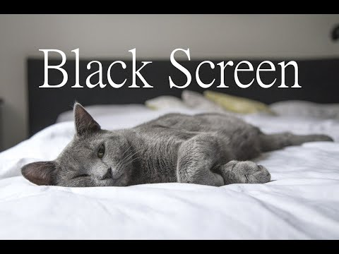 Musik zum Einschlafen und Entspannen, 120 Minuten, Black Screen
