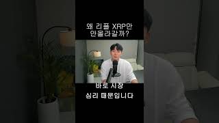 [리플 XRP] 왜 리플 XRP만 안올라갈까?