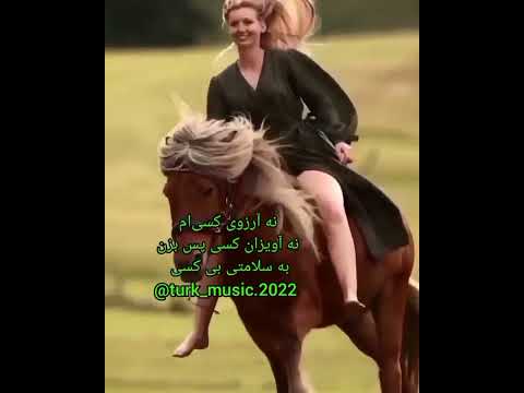 ۸ ژوئن ۲۰۲۳