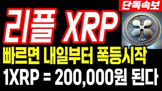 [리플 전망] 당장 내일부터 XRP 폭등시작합니다! #업비트시황 #코인시황 #급등코인추천 #리플대응