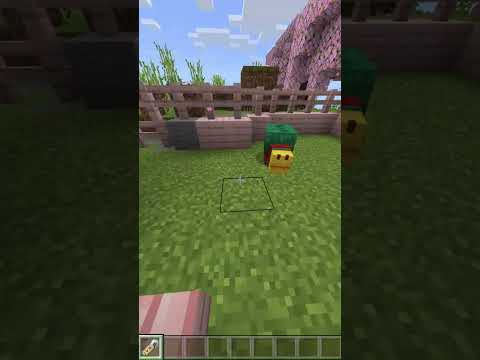 A NEW channel MEMEBER!  #minecraft#minecraftpets  #subscribe