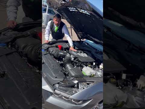 2024 Ford Mustang 5.0L #surpriseford #2024ford