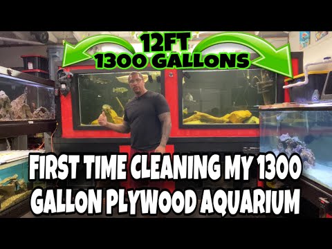 First Time Cleaning My 1300 Gallon Plywood Aquarium