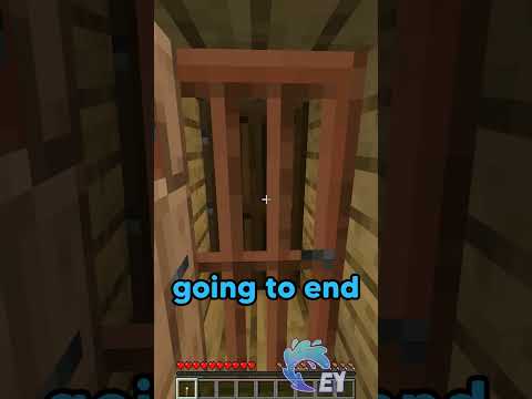 Never Look Behind You in Minecraft…