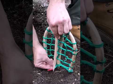 trap #bushcraft #trap #survival