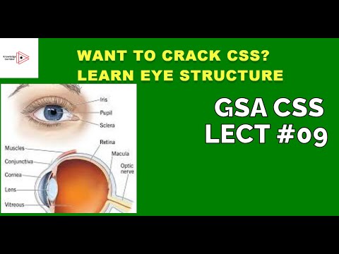 What You Don't Know About EYE STRUCTURE IN GSA and CSS Will SHOCK You! Lect No.09 NOA