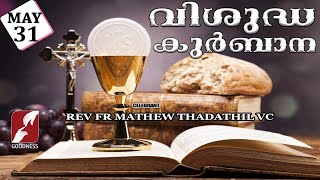 HOLY MASS LIVE @ 6 AM, 31 MAY 2025|FR MATHEW THADATHIL VC|MALAYALAM QURBANA|TODAY MASS|GOODNESS TV