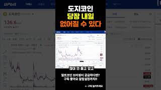도지코인의 유일안 악재 = 일론머스크?  #코인추천 #이더리움 #비트코인