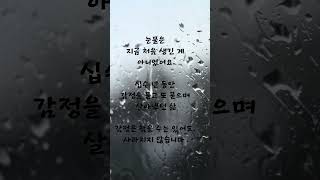 감정은 늦게 도착하지만, 결국 온다.. _#두번째봄날 #어르신상담 #노인심리상담 #샐리상담