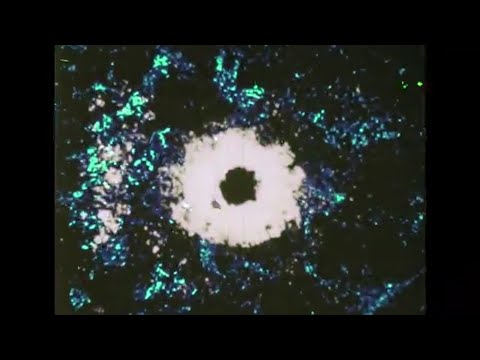 Mr.Fables - Stay In Your Home (Official Video)