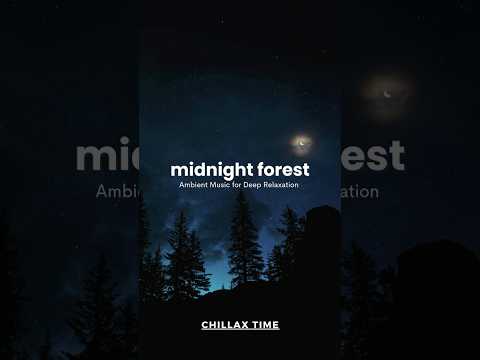 midnight forest #ambientmusic,#relaxingmusic,#sleepmusic,#nightvibes, #chillbeats, #groove, #shorts