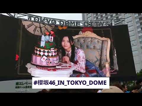 (LIVE) 櫻坂46「4th ARENA TOUR 2024 新・櫻前線-Go on back-IN東京ドーム」