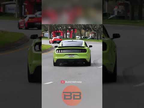 Zo6, Mustang and Rs6 car show exits!! #carshow #z06