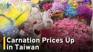 Carnation Prices Up in Taiwan Prior to Mother's Day｜TaiwanPlus News