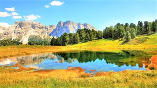 Calming Music For Sleep and Relaxation | 1Hour Beautiful Nature