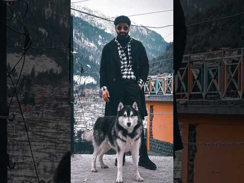 This dog has my heart In Manali 😍