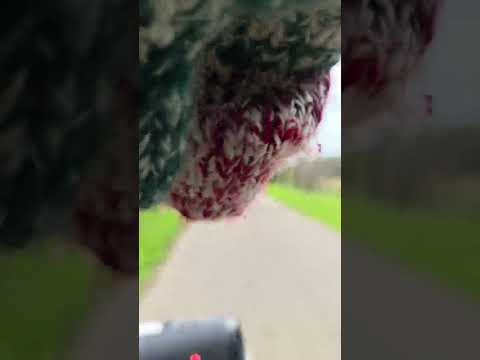 Sunday bike trip