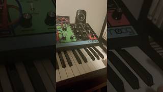 Phrasing with my Pro-800 synth #behringer #synthvibes #musicjam #synthpop #dancemusic