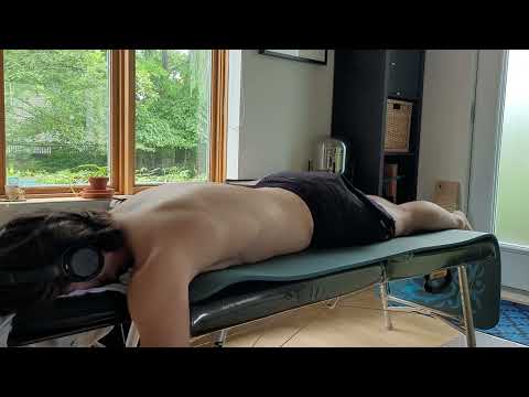 Neck Pain Network Spinal Flow