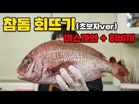 참돔 회뜨기! 마스까와랑 히비끼까지 초보자가 집에서도 할 수 있는 회뜨기영상