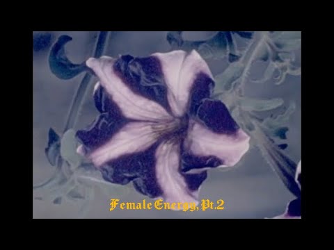 FEMALE ENERGY PT.2 - WILLOW (Lyric Video)