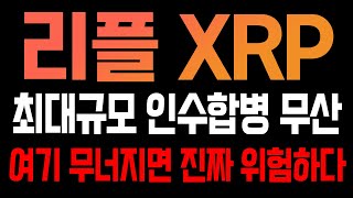 [리플 엑스알피 XRP 코인전망] 최대규모 인수합병 무산! 여기 무너지면 진짜 위험하다!!