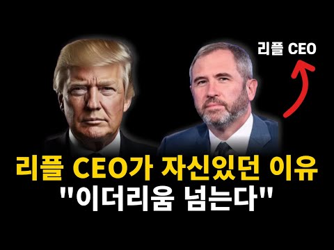리플 코인 CEO가 자신있던 이유가 있었습니다! 1만원 갑니다 ㄷㄷ