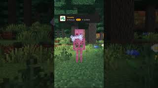 The BEST Visual Mods for Minecraft! #shorts