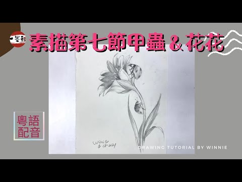 Weekly drawing practice #7 粵語配音 瓢蟲&花花 素描課程【7】 ladybugs& flower